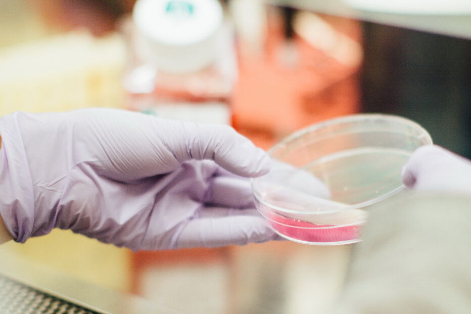 2019-11-08_15_04_06 dengue.jpg