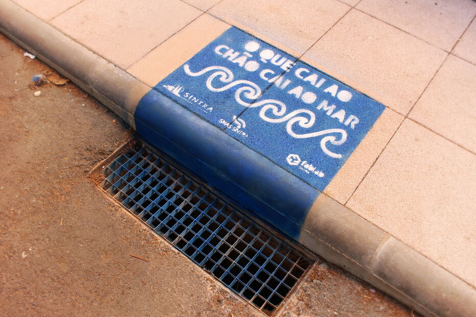 2019-11-08_15_38_08 P4.jpg