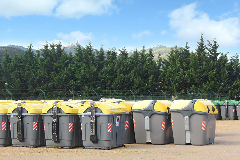 2019-11-08_16_25_39 P41.jpg