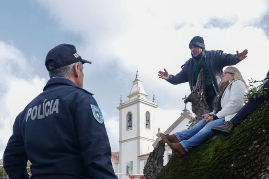 Manifestantes sobem a árvore para impedir abate na Figueira da Foz 