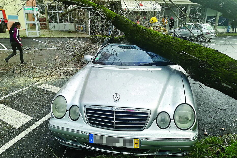 Carro foi atingido por uma árvore que caiu em Aveiro