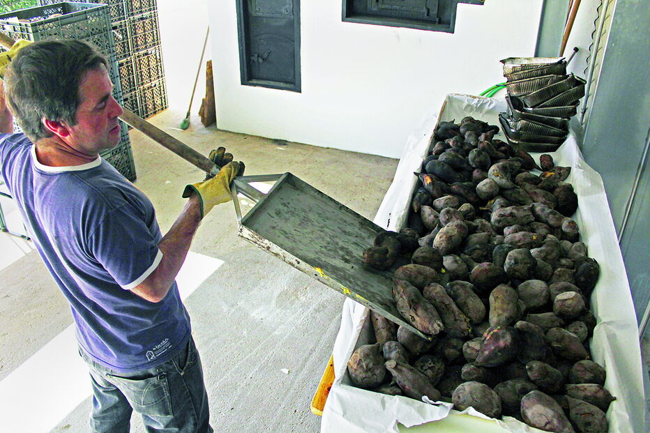 Batata-doce vai ser confecionada de várias formas em tasquinhas e em sessões ao vivo com chefs de cozinha  