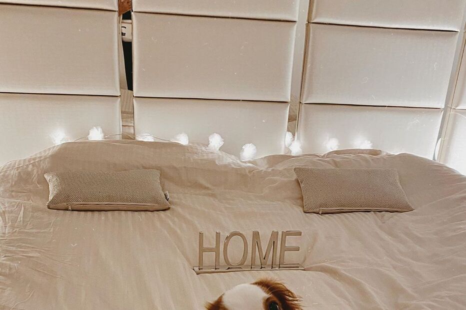 Cadela de Bárbara Bandeira 