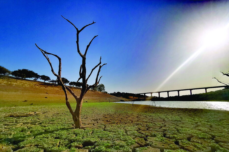 Barragens do Sul do País com um baixo nível de água armazenada podem vir a ser intervencionadas pelo Governo 