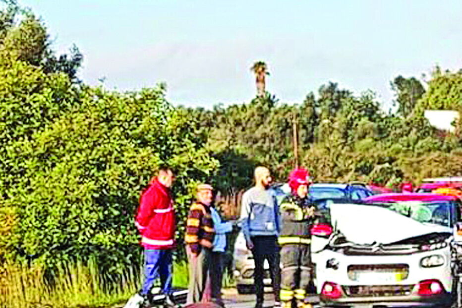 Cavalo ficou muito ferido e teve de ser abatido. Carro sofreu grandes danos, foi necessário desencarcerar ocupante   