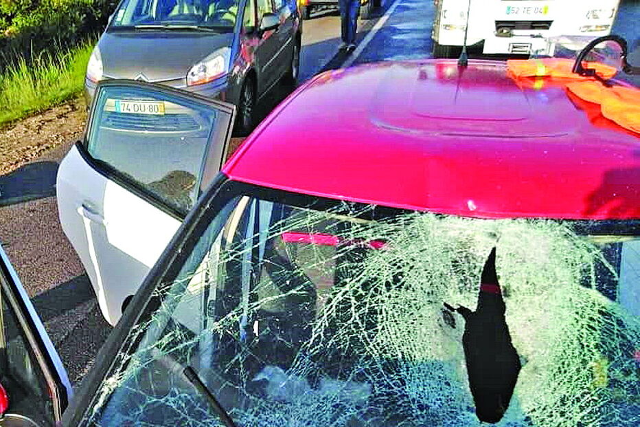 Cavalo ficou muito ferido e teve de ser abatido. Carro sofreu grandes danos, foi necessário desencarcerar ocupante   