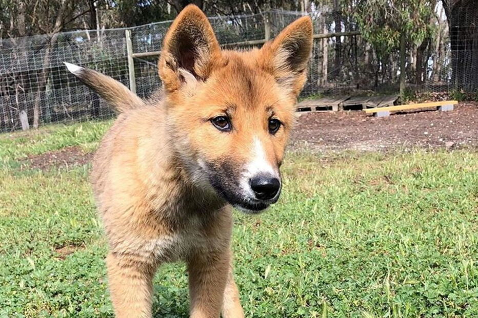 2019-11-21_08_57_57 wandi.PNG