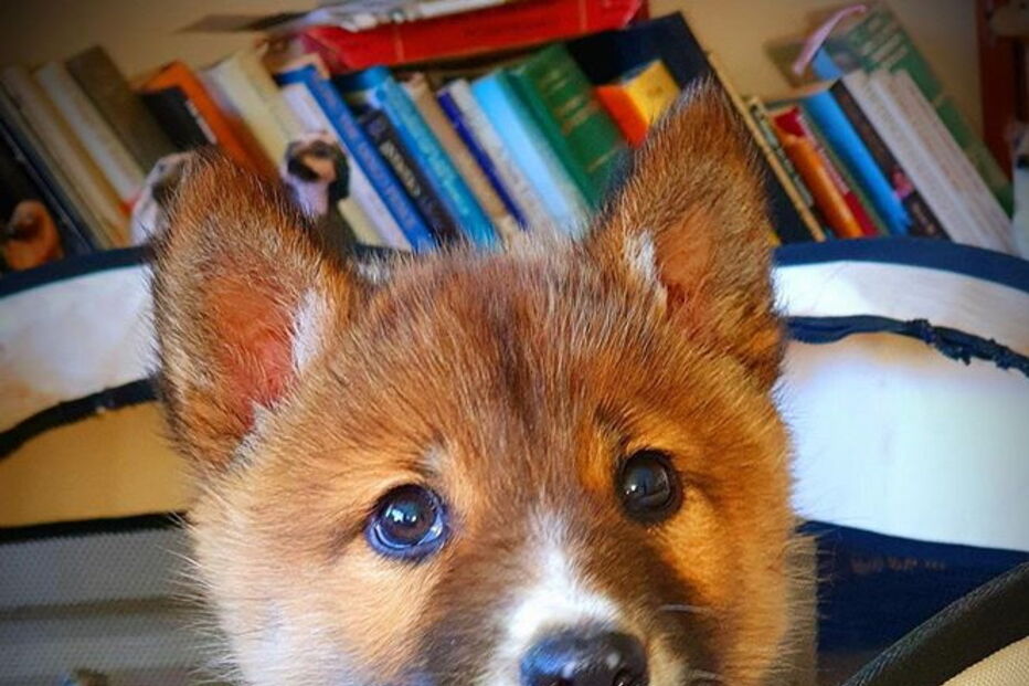 2019-11-21_08_57_58 wandi1.PNG