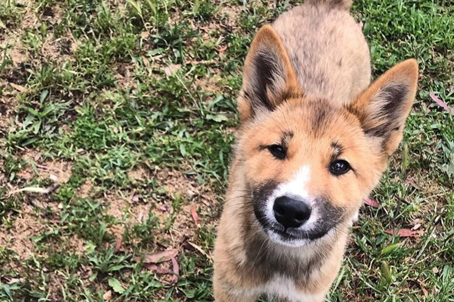 2019-11-21_08_57_59 wandi4.PNG