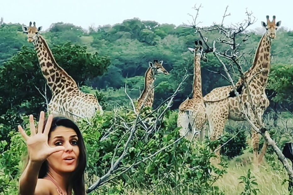 Cuca Roseta em Moçambique