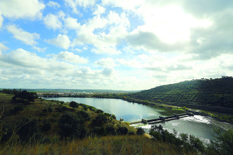 ‘Alqueva do Ribatejo’ permite regar 300 mil hectares 