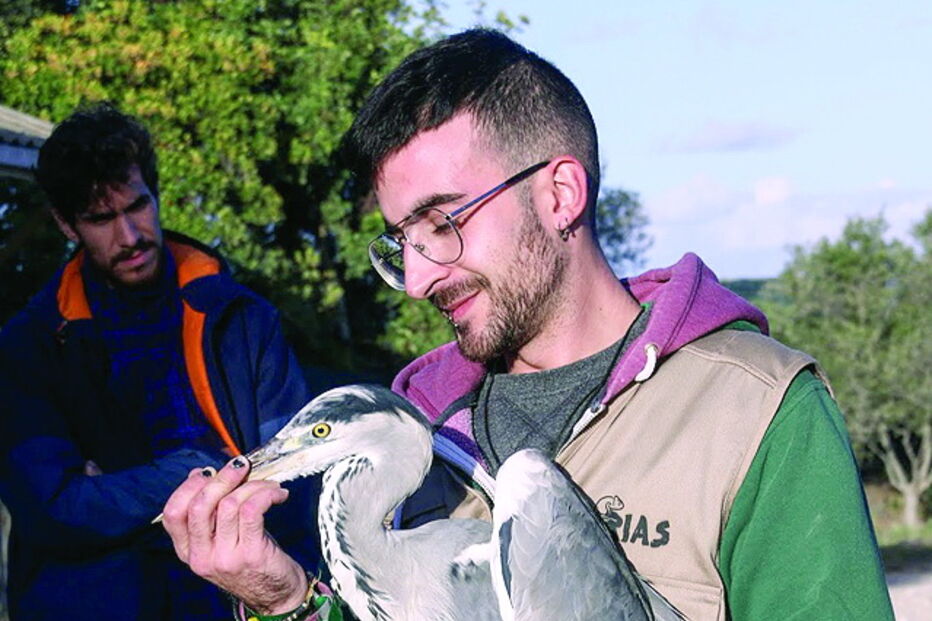 Garça foi tratada por técnicos do RIAS e devolvida à natureza 