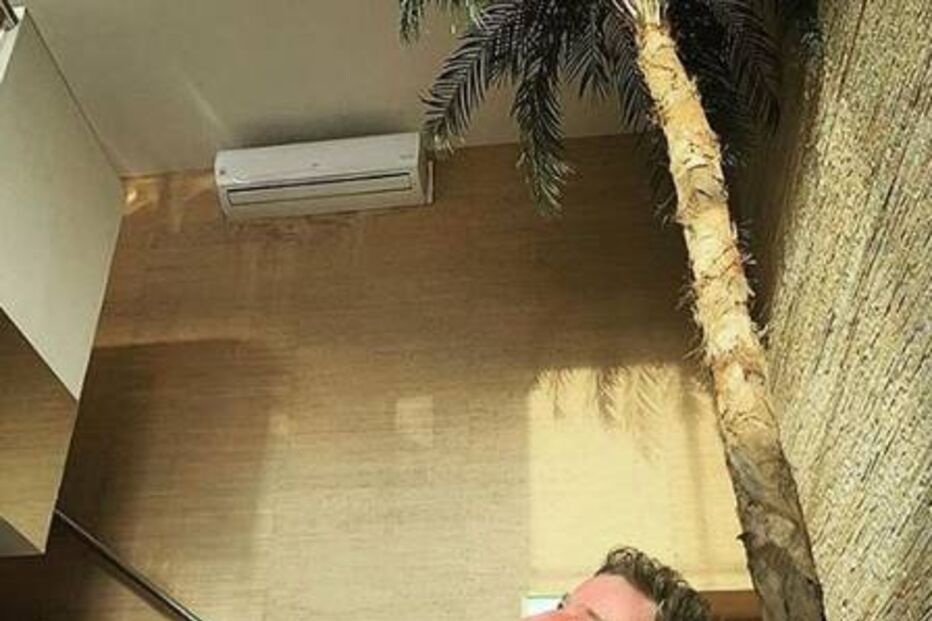  João Henrique Simonetti