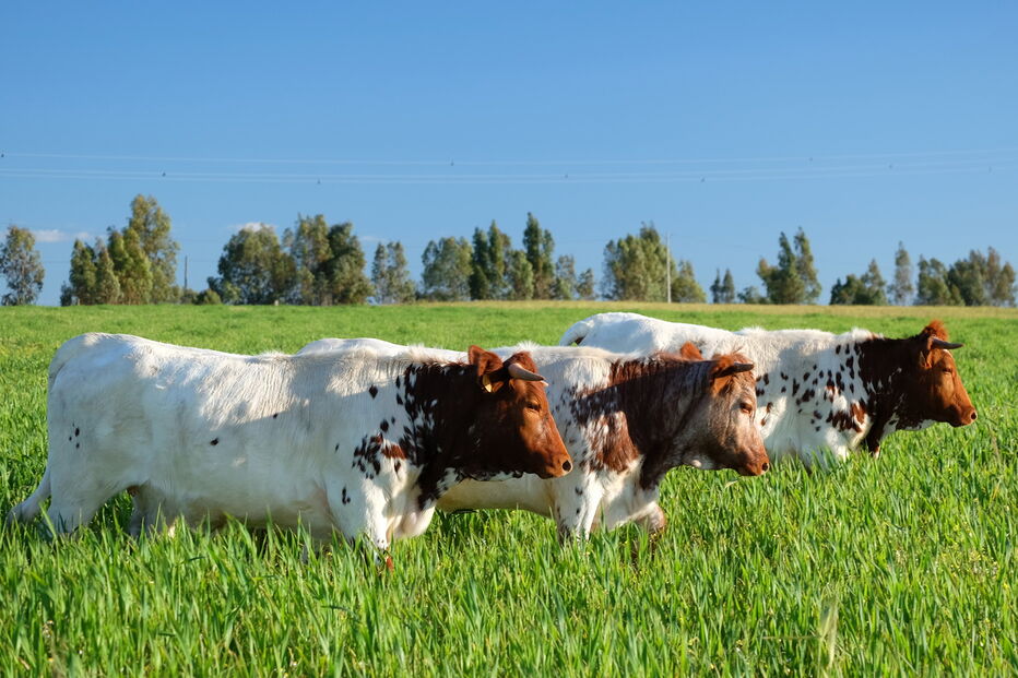 2019-11-29_13_27_56 P8DSCF1015.JPG