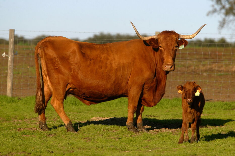 2019-11-29_13_59_17 P5.JPG