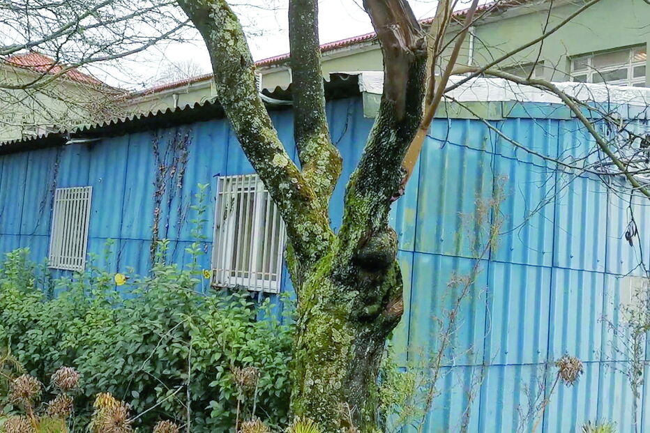Pavilhão do Serviço de Gestão de Documentação Clínica do Centro Hospitalar de Vila Nova de Gaia