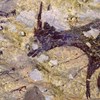 Pintura rupestre de caça mais antiga do Mundo descoberta na Indonésia. Veja a imagem