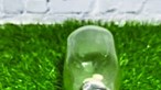 Hamster flexível livra-se de frasco de vidro minúsculo