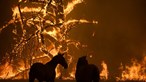 Inferno de chamas faz mais dois mortos na Austrália