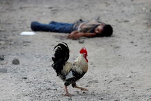 Imagens que marcaram uma década