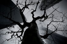 Imagens que marcaram uma década