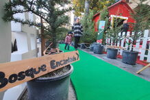 Inauguração da cidade de Natal em Castelo Branco