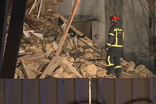 Cães de resgate mobilizados para o local