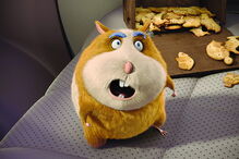 'O Segredo das Bolachas'