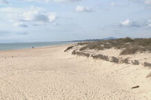 Polícia Marítima apanha oito jovens migrantes no areal de Monte Gordo