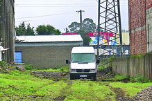 Carrinha tinha 80 caixas de bacalhau