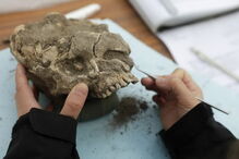 Maior necrópole de sepulturas antropomórficas da Península Ibérica encontrada em Trancoso
