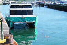 Manchas castanhas surgiram no estuário devido à remoção do fundo por parte da draga 