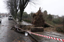O rasto de destruição de 