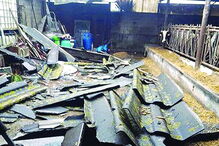 Destruição em Vila do Conde