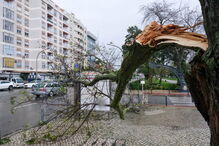 Inundações em Setúbal 