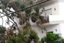 Árvore cai em cima de casa no Montijo