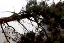 Árvore cai em cima de casa no Montijo