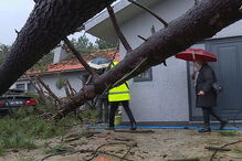 Queda de árvores faz sete desalojados em Santo Tirso