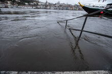 2019-12-20_15_36_27 32880442.jpg