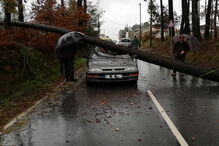 Árvore cai em cima de carro em Viseu