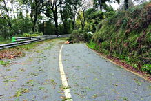 Depressão 'Elsa' provoca vários estragos de Norte a Sul do País