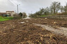 Destruição causada pela Depressão Fabien, Formoselha