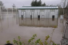 Mau tempo obriga a retirar 100 animais do canil de Coimbra. 60 foram acolhidos por famílias
