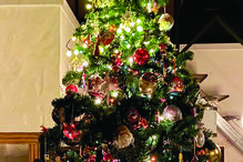 Bárbara Guimarães de 46 anos mostrou nas suas redes sociais que está a viver ao máximo  o espírito  natalício 