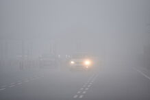 Distritos de Bragança, Guarda e Vila Real sob aviso amarelo devido a nevoeiro