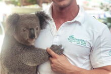 Herói de um jardim zoológico leva animais para casa para os proteger dos incêndios