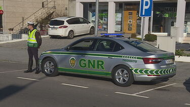 Koda fica agressivo com barulho de berbequim