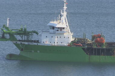 GNR captura recluso evadido da prisão de Pinheiro da Cruz em Grândola