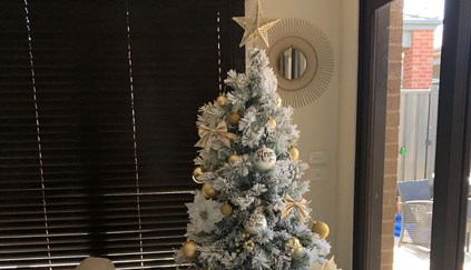 Não tem tempo? Empresas montam sua árvore e fazem a decoração de Natal