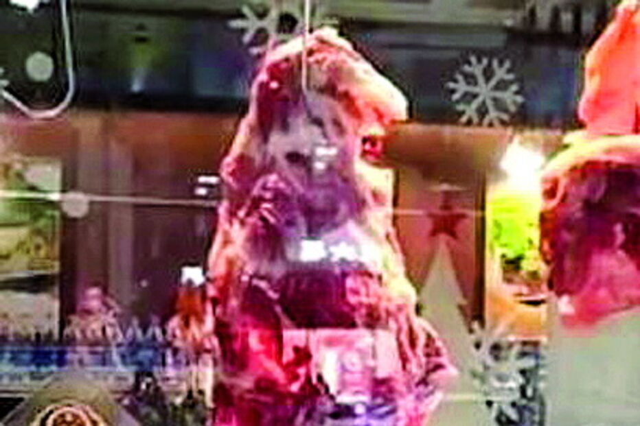 Ratos comem carne em montra de restaurante na China 